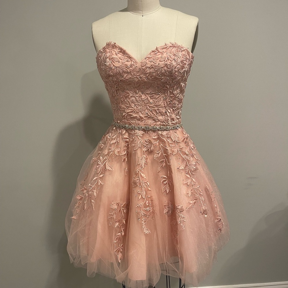 Blush Dress